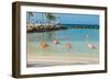 Four Flamingos on the Beach-PhotoSerg-Framed Photographic Print