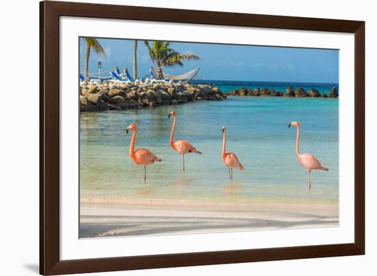 Four Flamingos on the Beach-PhotoSerg-Framed Photographic Print