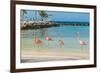 Four Flamingos on the Beach-PhotoSerg-Framed Photographic Print