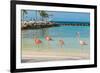 Four Flamingos on the Beach-PhotoSerg-Framed Photographic Print