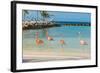 Four Flamingos on the Beach-PhotoSerg-Framed Photographic Print