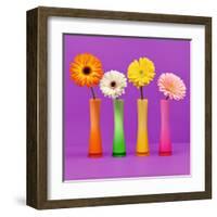 Four Flowers and Pink Background-Camille Soulayrol-Framed Art Print