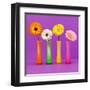 Four Flowers and Pink Background-Camille Soulayrol-Framed Art Print