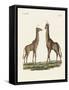 Four-Footed Animals-null-Framed Stretched Canvas