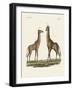 Four-Footed Animals-null-Framed Giclee Print