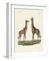 Four-Footed Animals-null-Framed Giclee Print