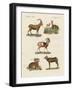 Four-Footed Animals-null-Framed Giclee Print