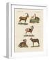 Four-Footed Animals-null-Framed Giclee Print