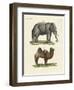 Four-Footed Animals-null-Framed Premium Giclee Print