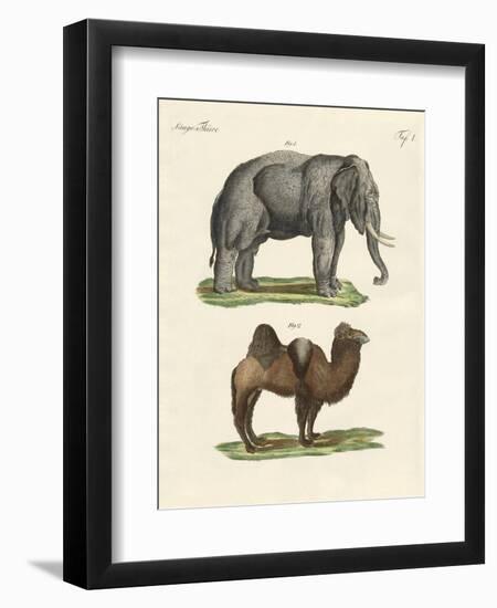 Four-Footed Animals-null-Framed Premium Giclee Print
