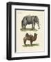 Four-Footed Animals-null-Framed Premium Giclee Print