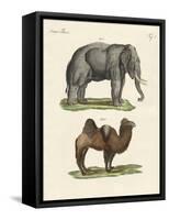 Four-Footed Animals-null-Framed Stretched Canvas