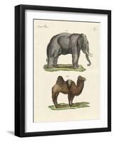 Four-Footed Animals-null-Framed Giclee Print