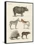 Four-Footed Animals-null-Framed Stretched Canvas