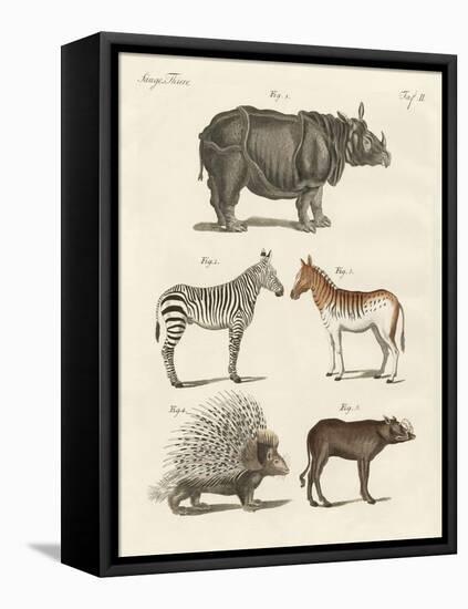 Four-Footed Animals-null-Framed Stretched Canvas