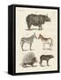 Four-Footed Animals-null-Framed Stretched Canvas