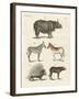 Four-Footed Animals-null-Framed Giclee Print