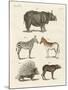 Four-Footed Animals-null-Mounted Giclee Print