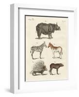Four-Footed Animals-null-Framed Premium Giclee Print