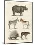 Four-Footed Animals-null-Mounted Premium Giclee Print