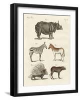 Four-Footed Animals-null-Framed Giclee Print