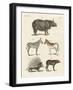 Four-Footed Animals-null-Framed Giclee Print