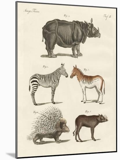 Four-Footed Animals-null-Mounted Giclee Print