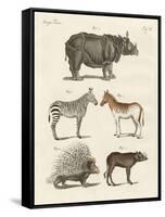 Four-Footed Animals-null-Framed Stretched Canvas