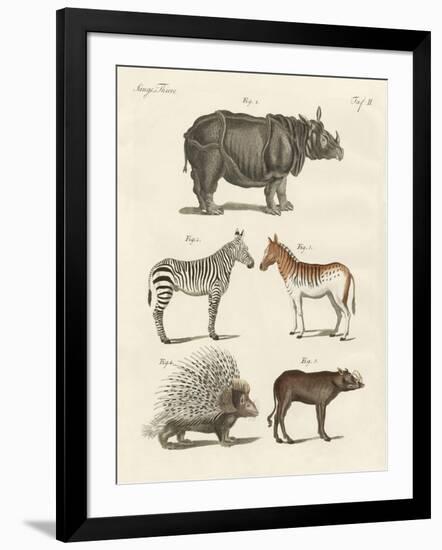 Four-Footed Animals-null-Framed Giclee Print