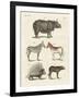 Four-Footed Animals-null-Framed Giclee Print