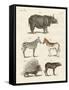 Four-Footed Animals-null-Framed Stretched Canvas