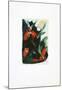 Four Foxes , Postcard to Kandinsky, c.1913-Franz Marc-Mounted Art Print