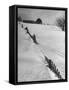 Four Ft. of Snow Almost Covering Up Snow Fence in Front of Barn on the Hill on Upstate Farm-Andreas Feininger-Framed Stretched Canvas