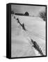 Four Ft. of Snow Almost Covering Up Snow Fence in Front of Barn on the Hill on Upstate Farm-Andreas Feininger-Framed Stretched Canvas