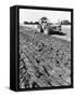 Four-Furrow Tractor-null-Framed Stretched Canvas