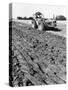 Four-Furrow Tractor-null-Stretched Canvas