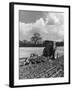 Four-Furrow Tractor-null-Framed Photographic Print