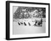 Four Girls on Dog Sled Photograph - Canada-Lantern Press-Framed Art Print