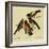 Four Grosbeaks-John James Audubon-Framed Giclee Print