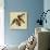 Four Grosbeaks-John James Audubon-Giclee Print displayed on a wall