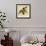 Four Grosbeaks-John James Audubon-Framed Giclee Print displayed on a wall