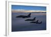 Four Italian Air Force Amx Aircraft Flying over the Tyrrhenian Sea-Stocktrek Images-Framed Photographic Print