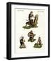 Four Kinds of Monkey-null-Framed Giclee Print