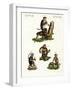 Four Kinds of Monkey-null-Framed Giclee Print