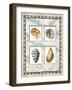 Four Kinds of Shells-Lisa Audit-Framed Giclee Print