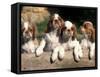 Four King Charles Cavalier Spaniel Puppies with Log-Adriano Bacchella-Framed Stretched Canvas