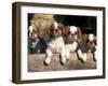 Four King Charles Cavalier Spaniel Puppies with Log-Adriano Bacchella-Framed Photographic Print