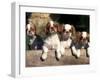 Four King Charles Cavalier Spaniel Puppies with Log-Adriano Bacchella-Framed Photographic Print