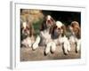 Four King Charles Cavalier Spaniel Puppies with Log-Adriano Bacchella-Framed Photographic Print