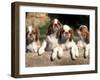 Four King Charles Cavalier Spaniel Puppies with Log-Adriano Bacchella-Framed Photographic Print